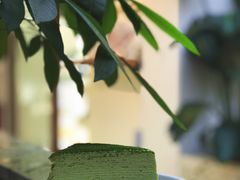 -Line 咖啡(石厦花园店)