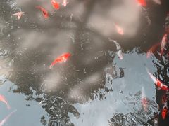 -耦园