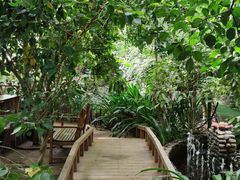 -呀路古热带植物园