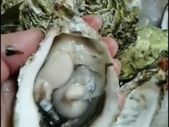 -旺豪阳光超市(友谊阳光城店)