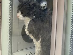 -FAELING PETS美天灵宠物(富力广场店)