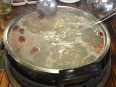 -鸭嘴鱼