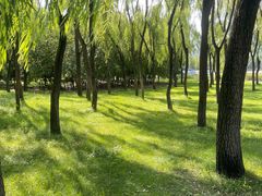 -森林公园(尖草坪区)