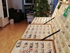 -刺鸟眼镜(全国连锁中山广场店)