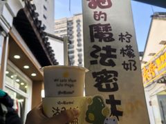 -猫的魔法密林(衣裳街店)