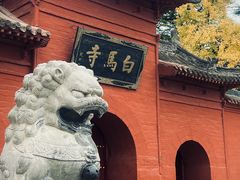 -洛阳白马寺