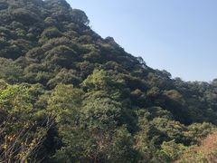 -北仑森林植物园