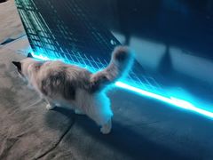 -零纪元VR体验馆·桌游(黄浦店)