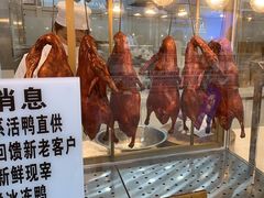 -顺城金记卤鸡·清真