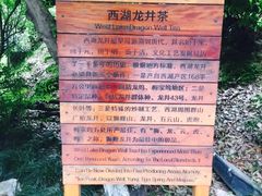 -十八棵（老龙井）御茶园(老龙井店)