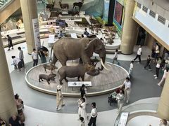 -陕西自然博物馆