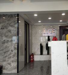 -ACE造型