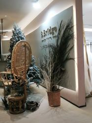 点击看大图 -B.Bridge Couture婚纱礼服(福田店)