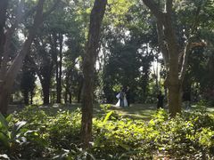 -深圳湾公园(南山区)