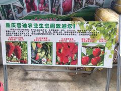 -普迪生态园
