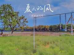 -艾溪湖湿地公园