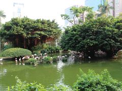 -九龙公园