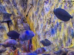 -沈阳海洋探索中心