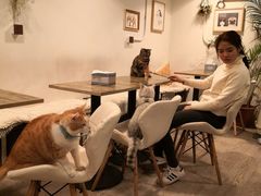 -小时光咖啡馆(北锣鼓巷店)