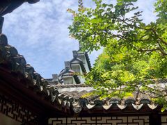 -上海醉白池公园