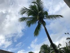 -三亚珠江南田温泉度假区