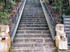 -云南屏边大围山国家公园