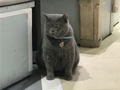 -小时光咖啡馆(开森度假森林店)