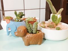 -蜜蜂小象·榴莲千层蛋糕(时代汇11栋店)