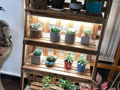 -十二舍·湯物素煮(江泰潤政店)