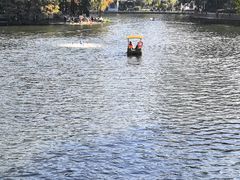 -荔湾湖公园