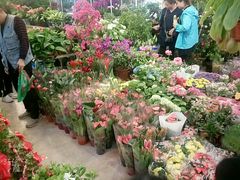 -双季花艺园艺市场(浦东店)