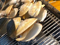 -丹东特色烤肉(南光三部店)