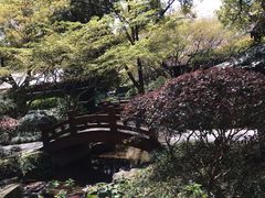 -中国茶叶博物馆(双峰馆区)