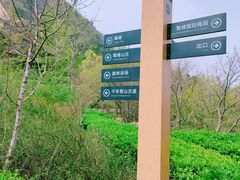 -北京鹫峰国家森林公园