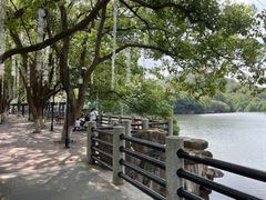 -白马涧龙池景区