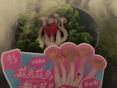 -芸山季·云南野生菌火锅(南翔印象城MEGA店)