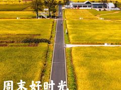 -杭州宋城