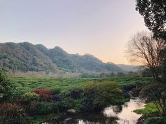 -中国茶叶博物馆(双峰馆区)