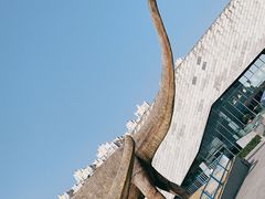 -安徽省地质博物馆