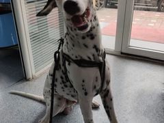 -天津前进宠物医院(前进道店)