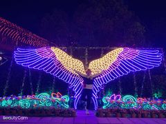 -横店影视城梦幻谷园区