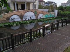 -南汇水蜜桃采摘(大团店)