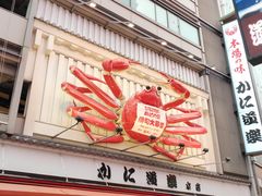 -蟹道乐(道顿堀本店)