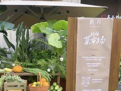 -蘑界·野生菌火锅(深业上城店)