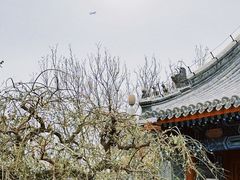 -西海子公园