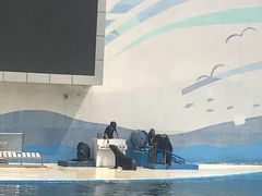 -北戴河圣蓝海洋公园