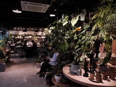 -自由生长植物工作室(深港花卉中心店)