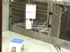 -艾贝尔宠物医院·24H转诊中心·肿瘤猫专科(江宁双龙店)