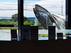 -王权免税店(普吉市区店)
