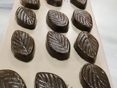 -麻奢鸽农庄·梦里水乡